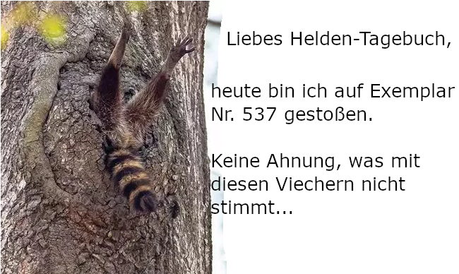 Antamar Humor Waschbär.png