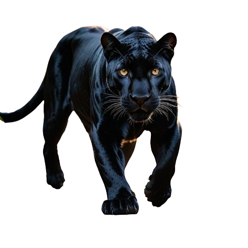 Panther-removebg-preview.png