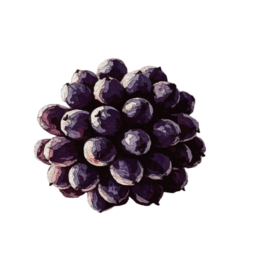 20250425_191658 (1).png
