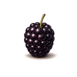 Brombeere.png