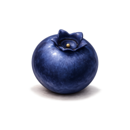 Heidelbeere.png
