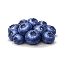 Heidelbeeren.png