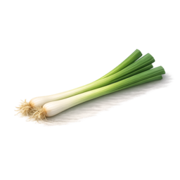 kleiner Lauch.png