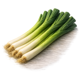 Lauch.png