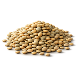 Linsen.png
